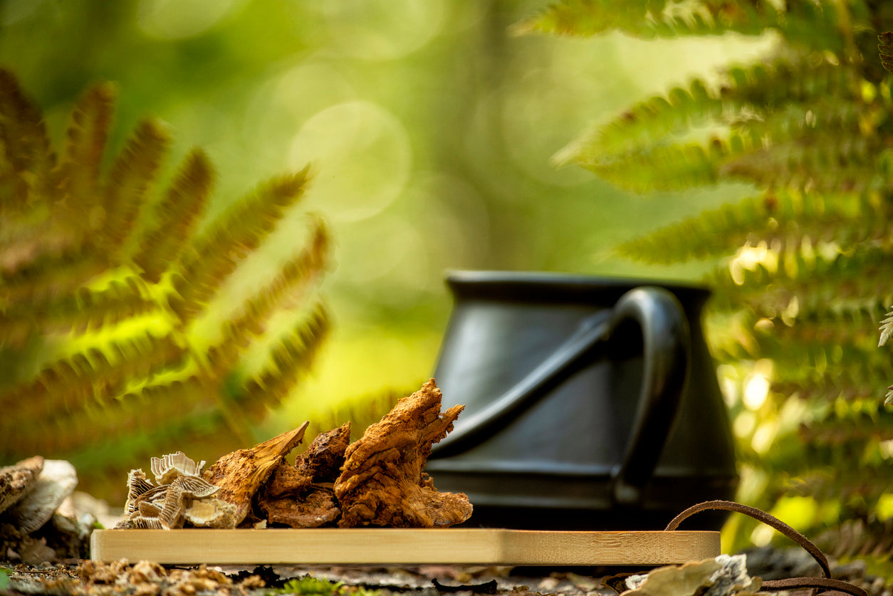 The Ultimate Wellness Duo: How Honey Enhances the Power of Adaptogenic Mushrooms